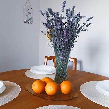 Вилла Istrian House Mojca Копер Экстерьер фото