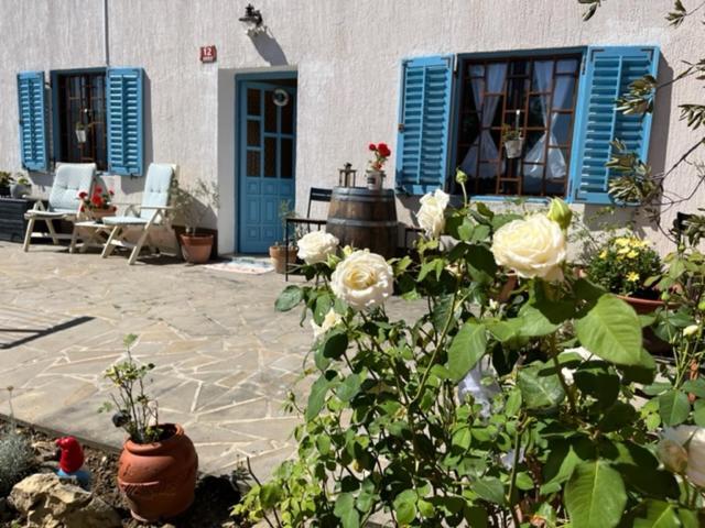 Вилла Istrian House Mojca Копер Экстерьер фото
